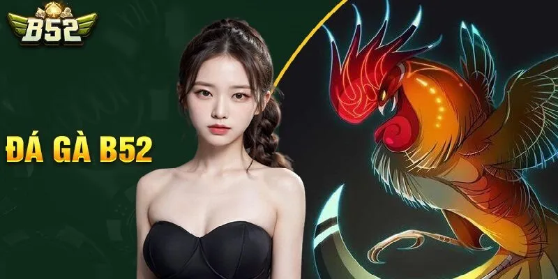 Bạn có thể chọn lựa trải nghiệm đá gà nhiều thể loại