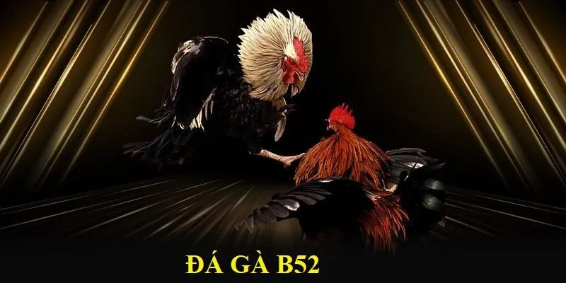 Tìm hiểu đá gà B52